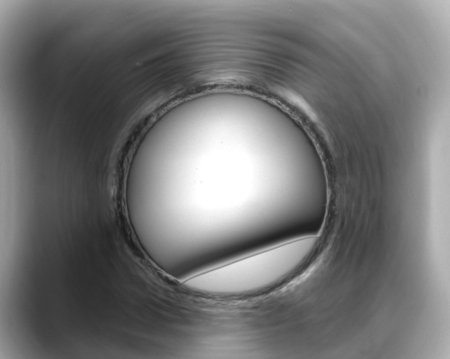 X0000088730922200705311112