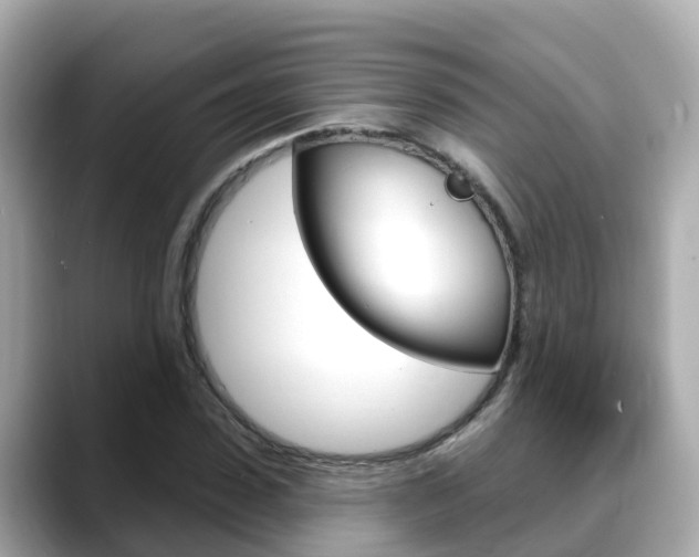 X0000088730923200705311112