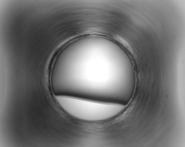 X0000088730931200705311112