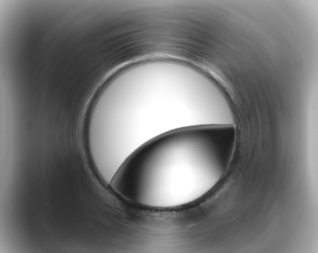 X0000088730934200705311112
