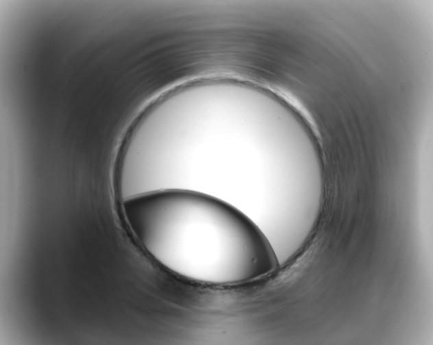 X0000088730935200705311112