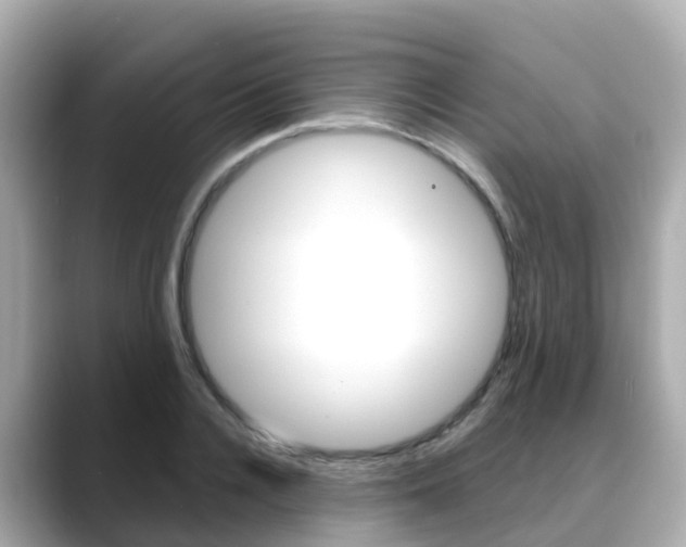 X0000088730936200705311112