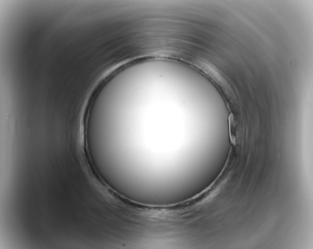 X0000088730940200705311113