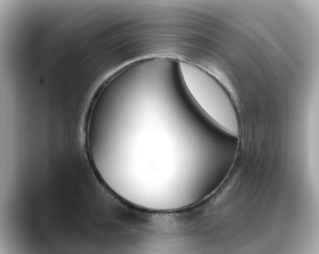 X0000088730944200705311113