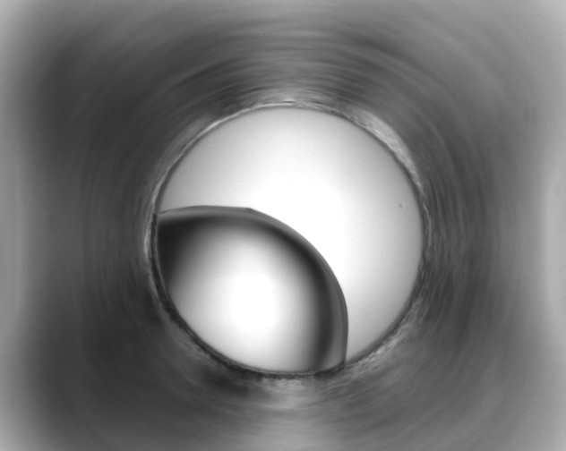 X0000088730946200705311113