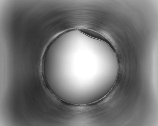 X0000088730948200705311113