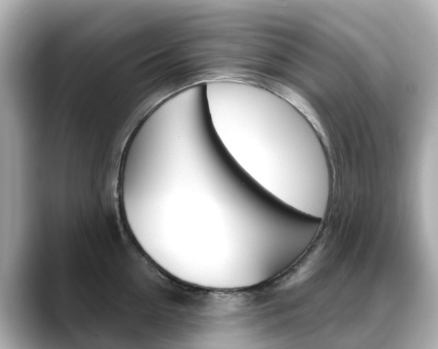 X0000088730954200705311113