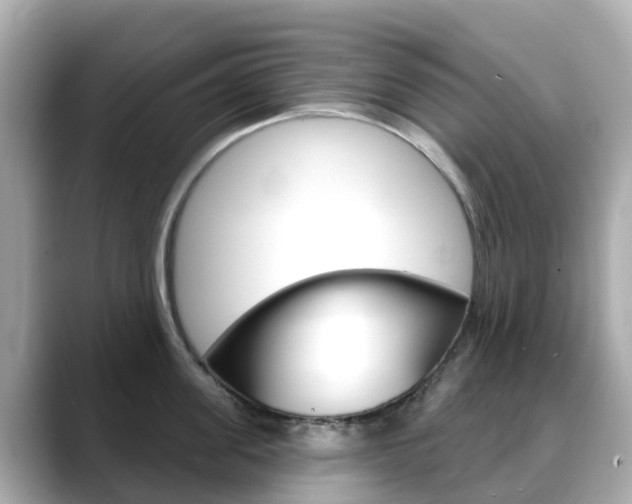 X0000088730955200705311113