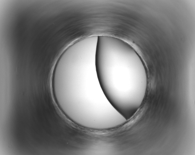 X0000088730957200705311113