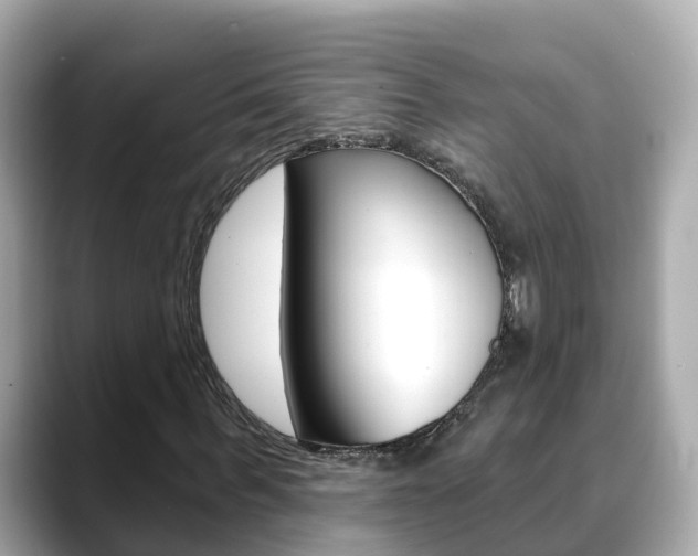 X0000088730963200705311112