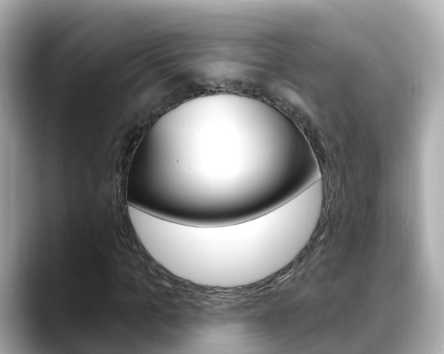 X0000088730965200705311112
