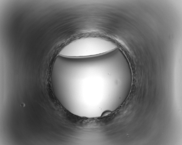 X0000088730967200705311112