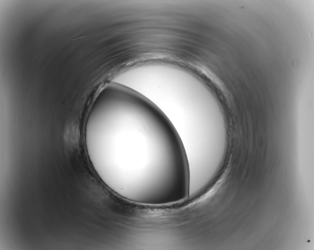 X0000088730969200705311112