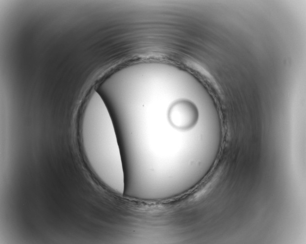 X0000088730978200705311112