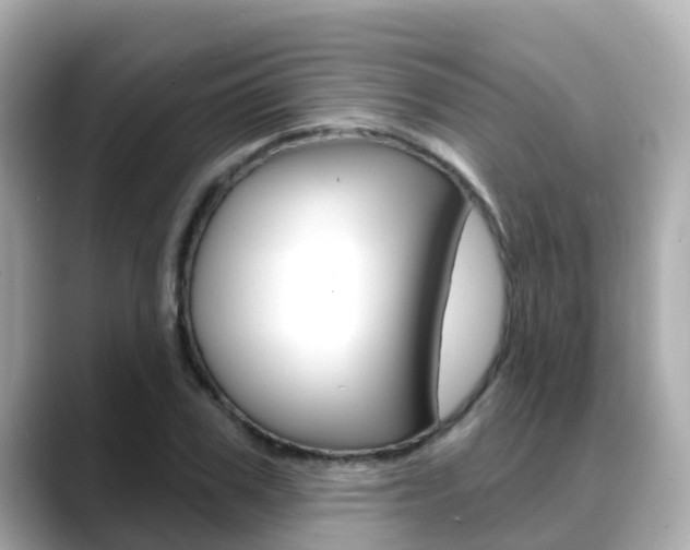 X0000088730979200705311112