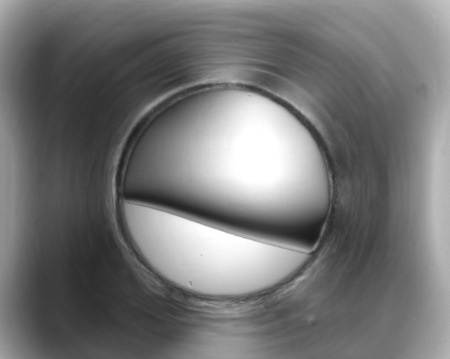 X0000088730980200705311112