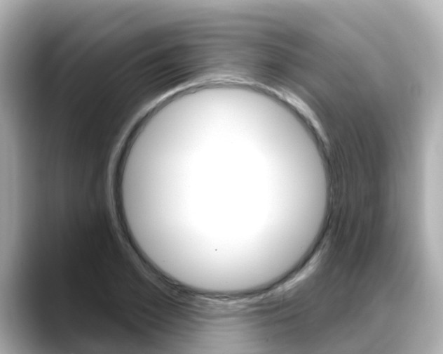 X0000088730981200705311112