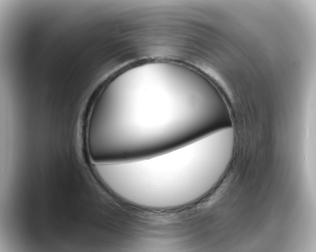X0000088730983200705311112