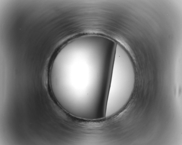 X0000088730984200705311112