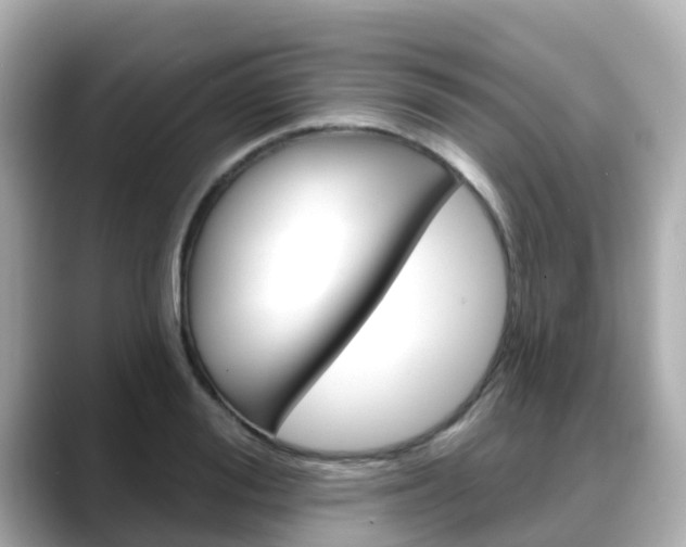 X0000088730988200705311112