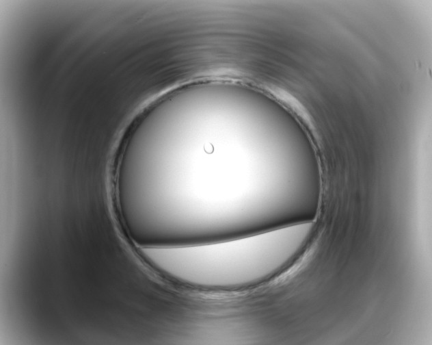 X0000088730989200705311112