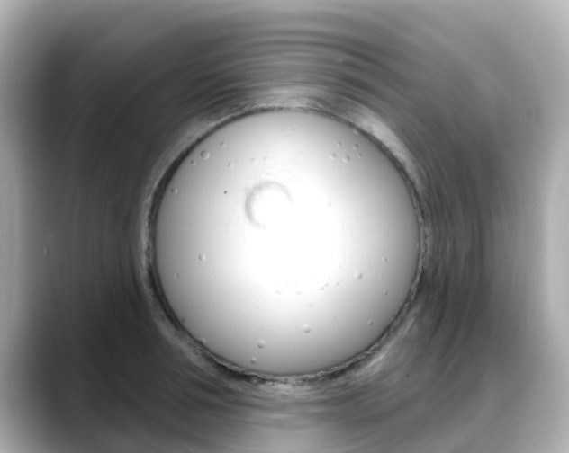 X0000088730994200705311112