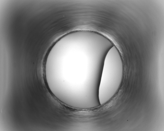 X0000088730998200705311112