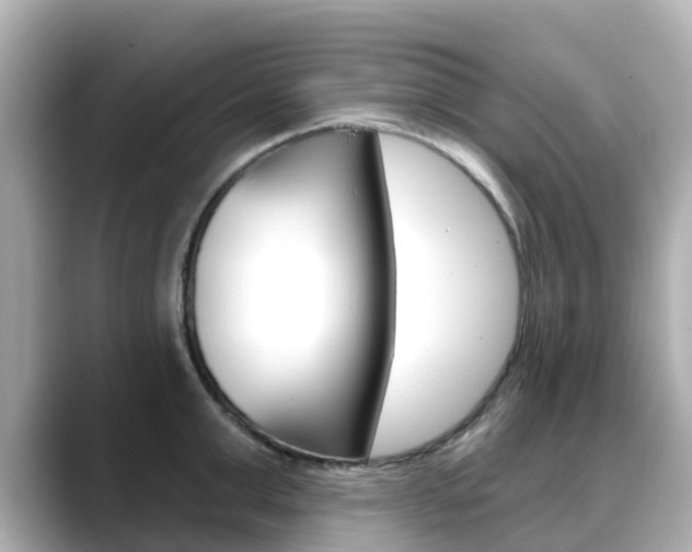 X0000088730999200705311112