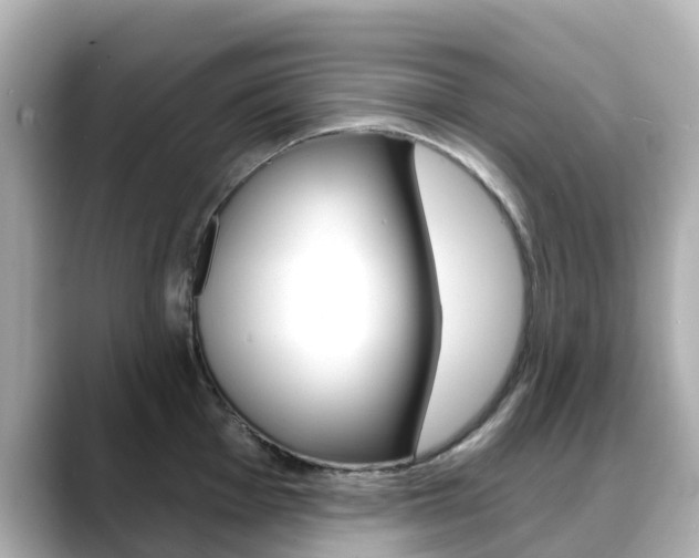 X0000088731001200705311112