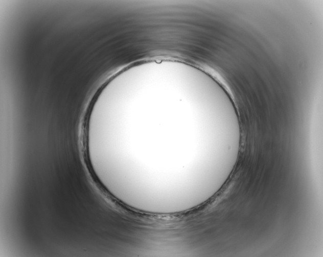 X0000088731003200705311112