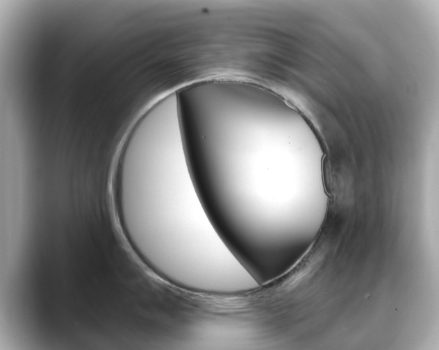 X0000088731007200705311112