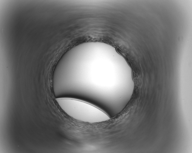 X0000088731009200705311111