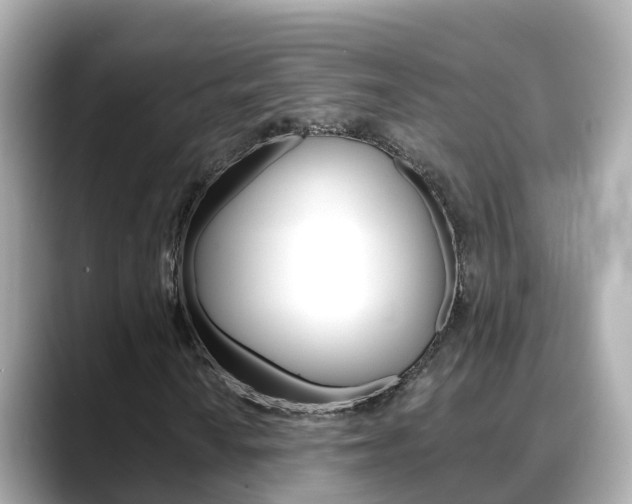 X0000088731010200705311111