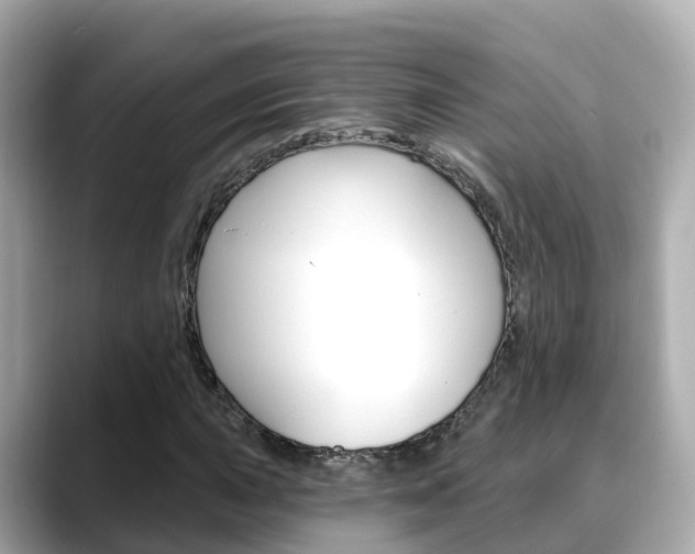 X0000088731015200705311111