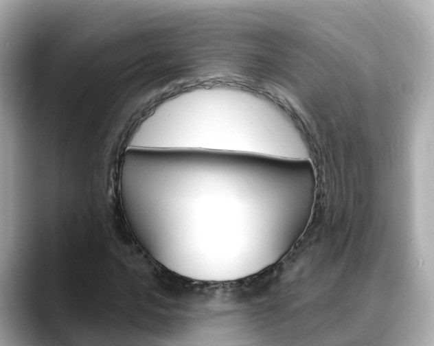 X0000088731016200705311111