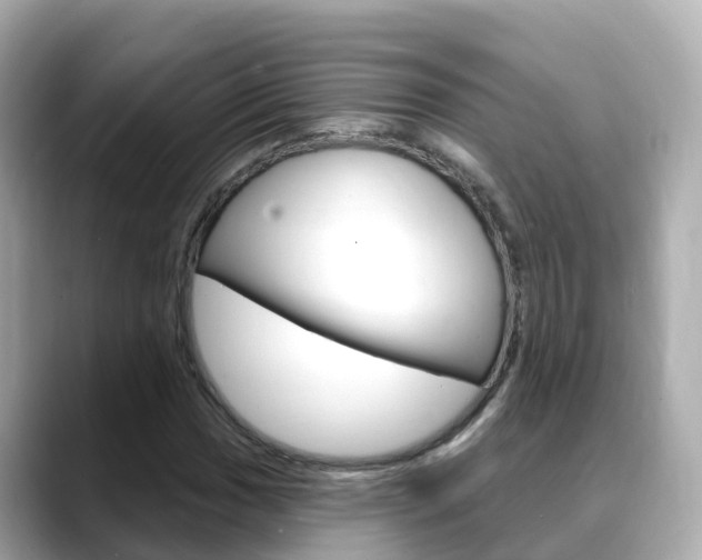 X0000088731017200705311111