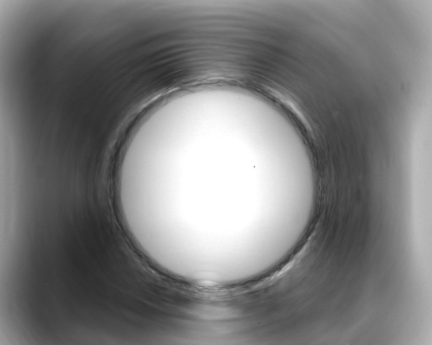 X0000088731018200705311111