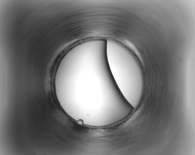 X0000088731019200705311111