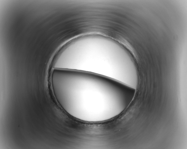 X0000088731020200705311111