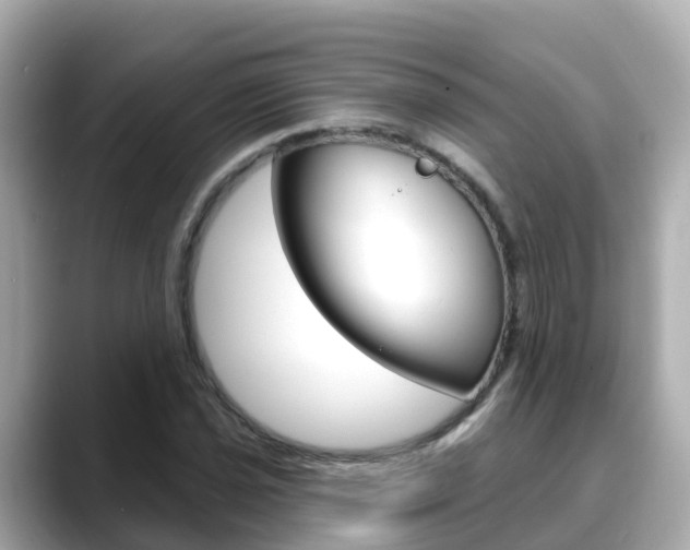 X0000088731021200705311111