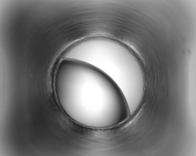 X0000088731022200705311111