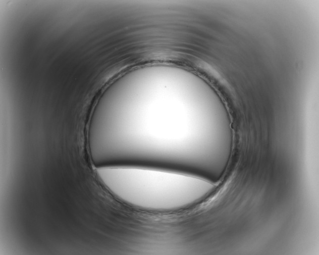 X0000088731025200705311111