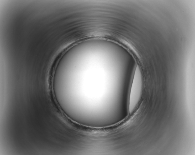 X0000088731026200705311111