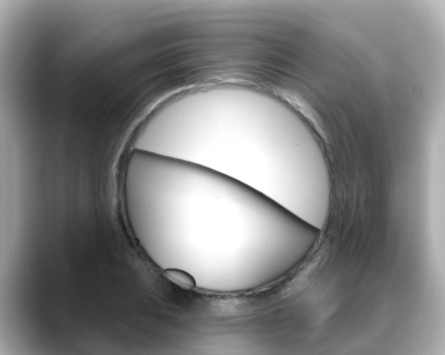 X0000088731031200705311111