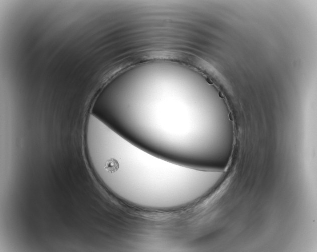 X0000088731033200705311111