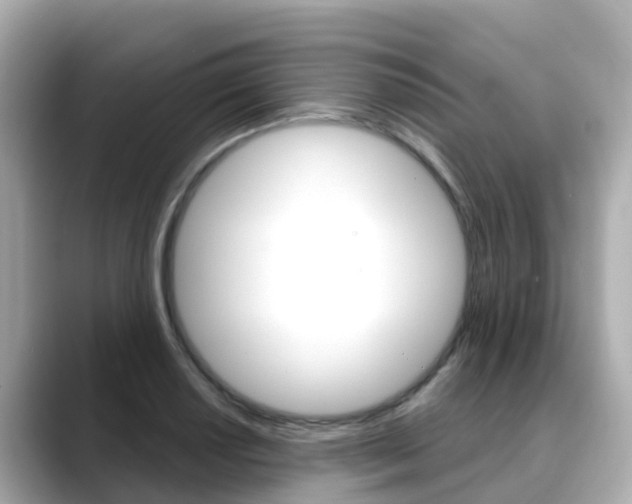 X0000088731034200705311111