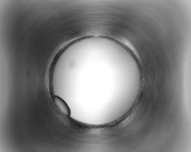 X0000088731035200705311111