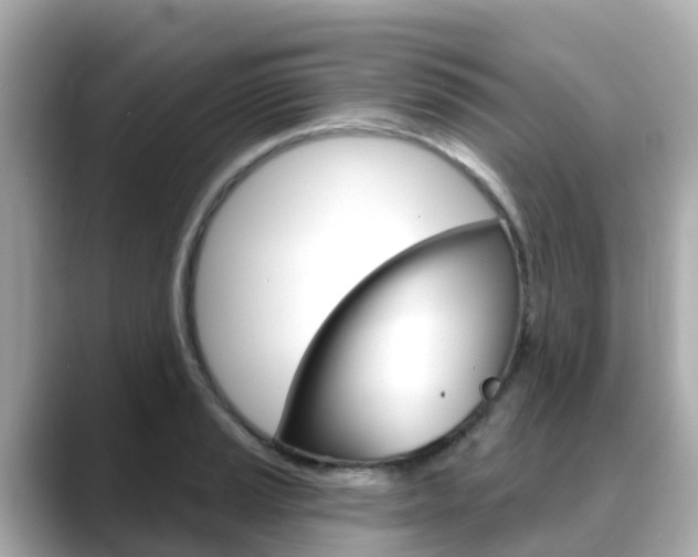 X0000088731037200705311111