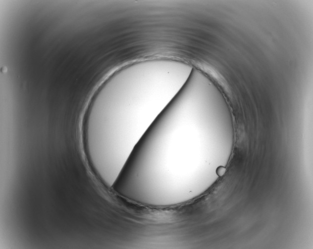 X0000088731039200705311111