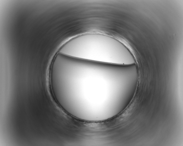 X0000088731048200705311112